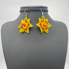 Load image into Gallery viewer, Unusual star spiral earrings
